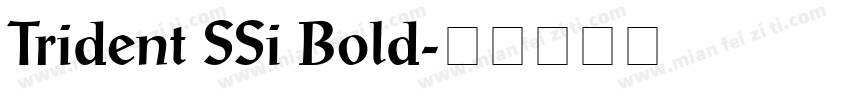 Trident SSi Bold字体转换